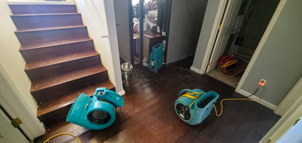 Best Emergency water damage restoration  in Cincinnati, OH