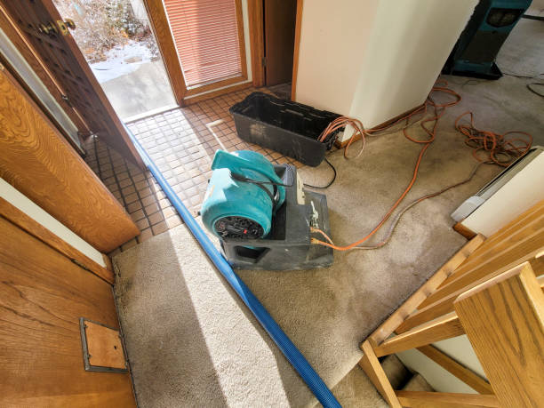 Carpet water damage restoration in OH