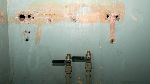  Cincinnati, OH Water damage restoration Pros
