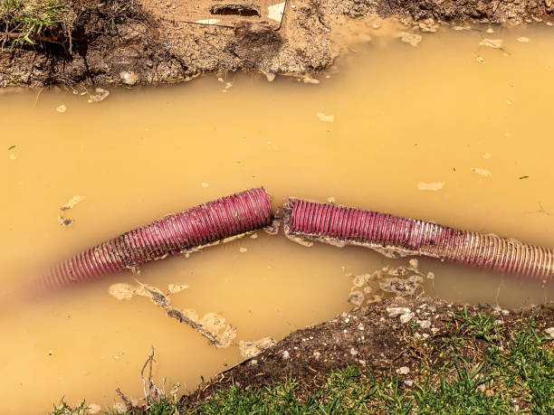 Best Professional water damage repair  in Cincinnati, OH